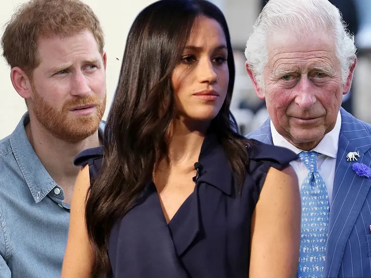 Royal Family LIVE: Prince Harry and Meghan Markle 'determined' to win over King Charles