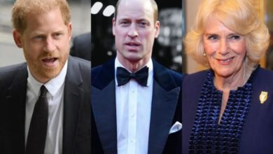 Queen Camilla Role In Prince William and Prince Harry Feud Laid Bare