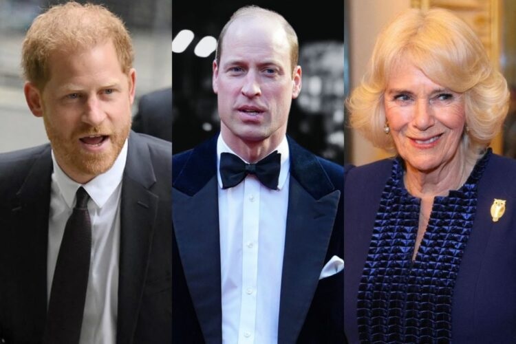 Reason Why Queen Camilla "Is a Little Afraid" of Prince William