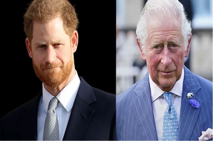 Real reason Prince Harry and King Charles are failing to patch up their relationship