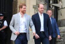 Reign of 'King William' facing huge issue unless Prince Harry issue is fixed, says expert