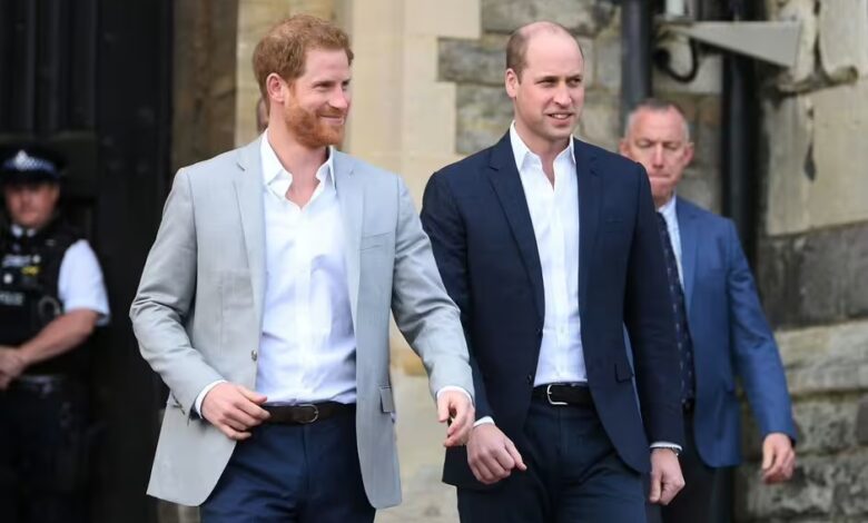 Reign of 'King William' facing huge issue unless Prince Harry issue is fixed, says expert