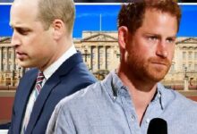 Reign of 'King William' facing huge issue unless Prince Harry issue is fixed, says expert