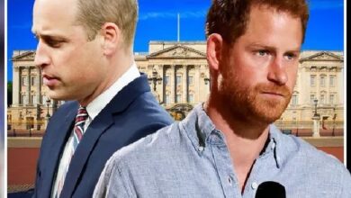 Reign of 'King William' facing huge issue unless Prince Harry issue is fixed, says expert