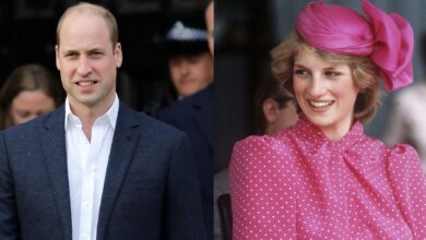 Princess Diana's Greatest Secret That Prince William Is Fighting With His Life To Keep From Netflix