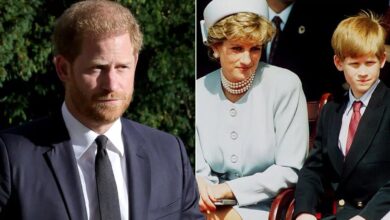 King Charles' chilling words that stuck in Harry's mind after mum Diana's death