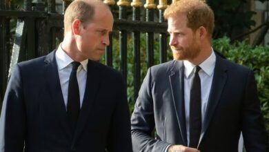 Royal Family LIVE: Prince William's 'warning' to Prince Harry about Meghan Markle Revealed