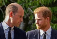 Royal Family LIVE: Why Prince Harry receives subtle olive branch - but Meghan snubbed