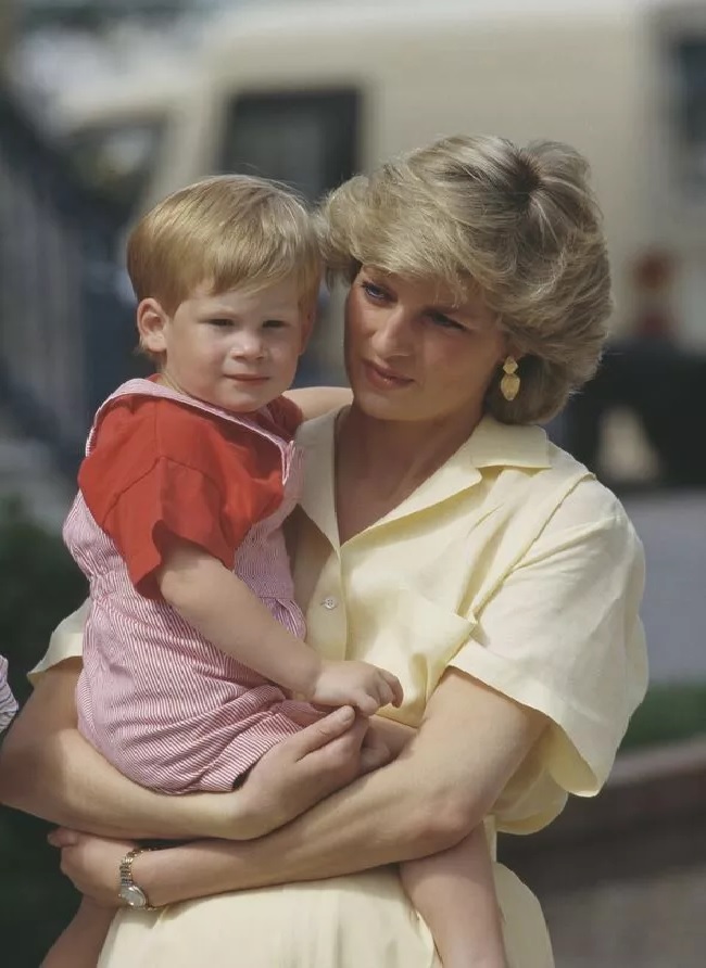 King Charles' chilling words that stuck in Harry's mind after mum Diana's death