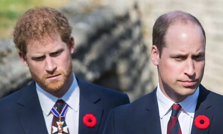 Prince Harry reveals the moment he became 'enemies' with his brother as William plotted revenge