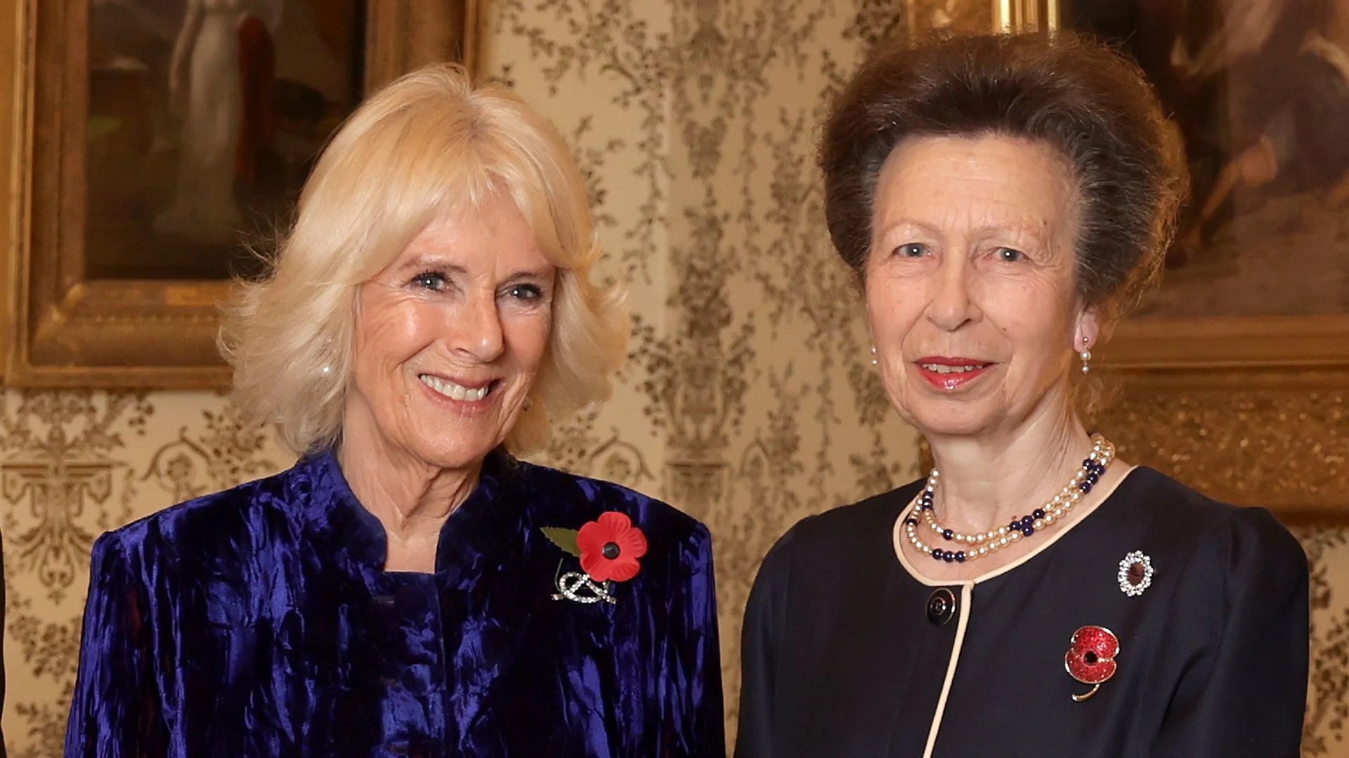 Princess Anne Put Queen Camilla In Her Right Place In The Recent Royal Family Issues