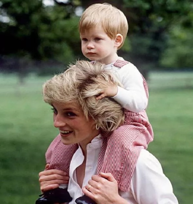 King Charles' chilling words that stuck in Harry's mind after mum Diana's death