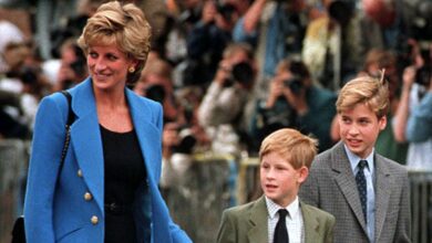 Prince Harry's touching tribute to Princess Diana on secret UK return revealed