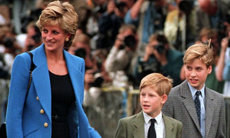 Prince Harry's touching tribute to Princess Diana on secret UK return revealed