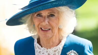 Queen Camilla wears beautiful £40k brooch that carries a 'deeper' hidden message