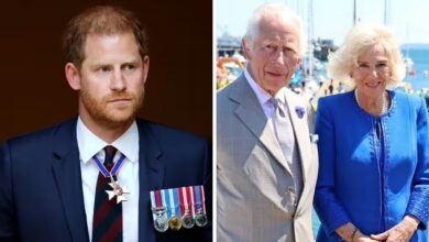 Queen Camilla does not want King Charles to meet Prince Harry Because....