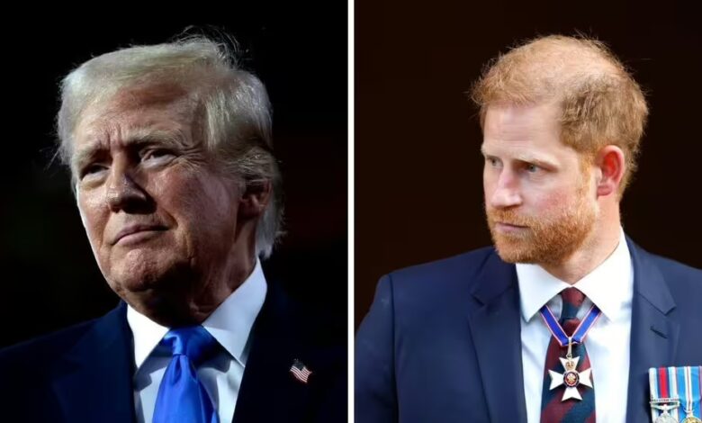 Unusual way Donald Trump 'saved' Prince Harry from huge 'kick in the teeth'