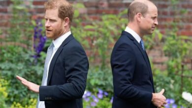 Prince Harry and William have 'hurdles' to overcome before patching things up