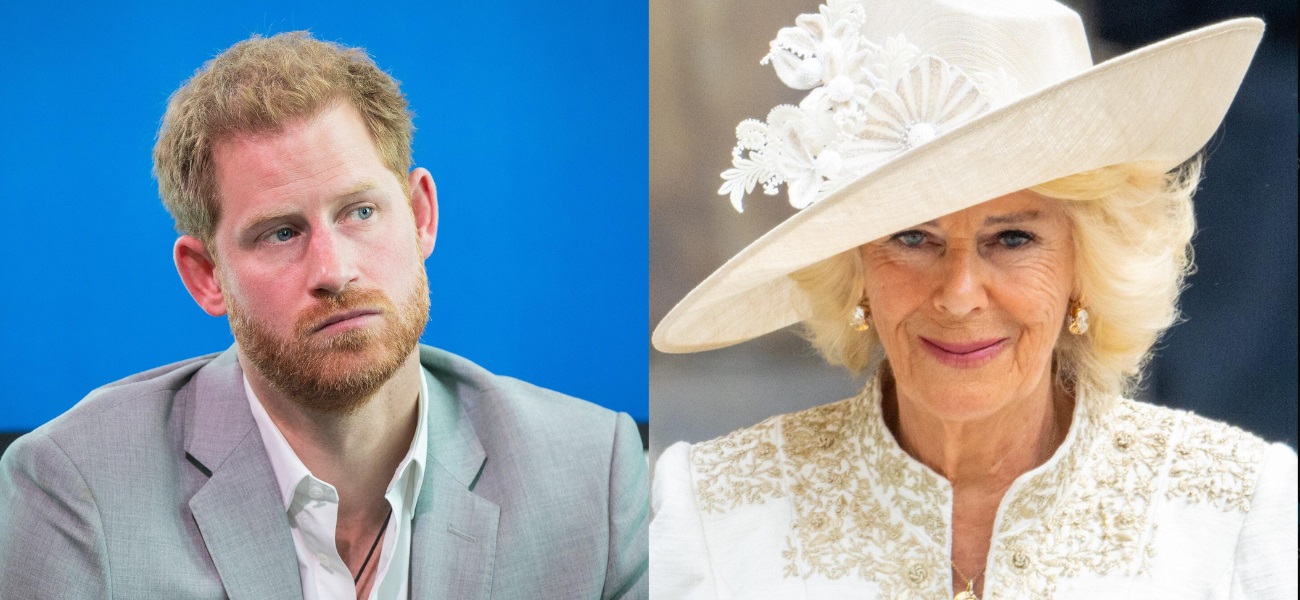 Queen Camilla does not want King Charles to meet Prince Harry Because....