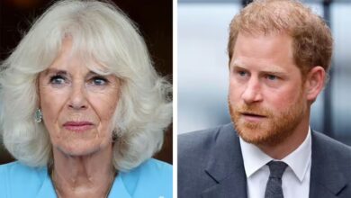 Queen Camilla does not want King Charles to meet Prince Harry Because....