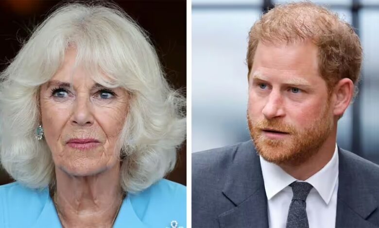 Queen Camilla does not want King Charles to meet Prince Harry Because....