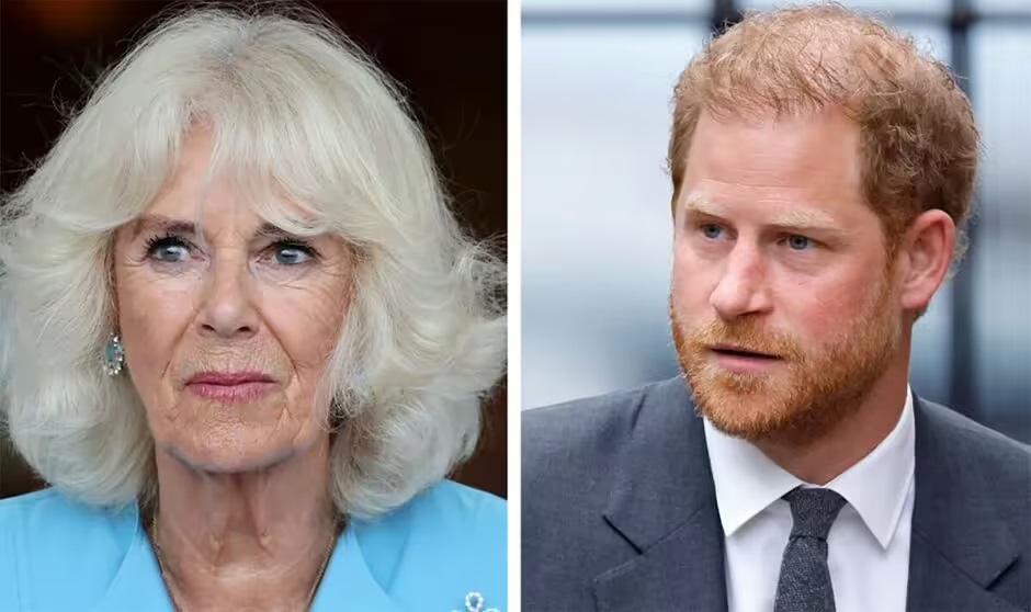 Royal Family LIVE: Prince Harry's two-word insult about Camilla was 'last straw' for King