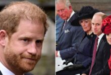 Prince Harry says he wasn't allowed to get close to royals as 'distance was essential'