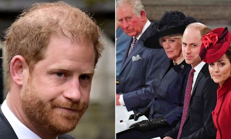 Prince Harry says he wasn't allowed to get close to royals as 'distance was essential'