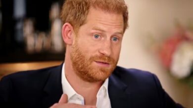 Royal Family LIVE: Prince Harry's 'real' reason for spilling royal secrets revealed