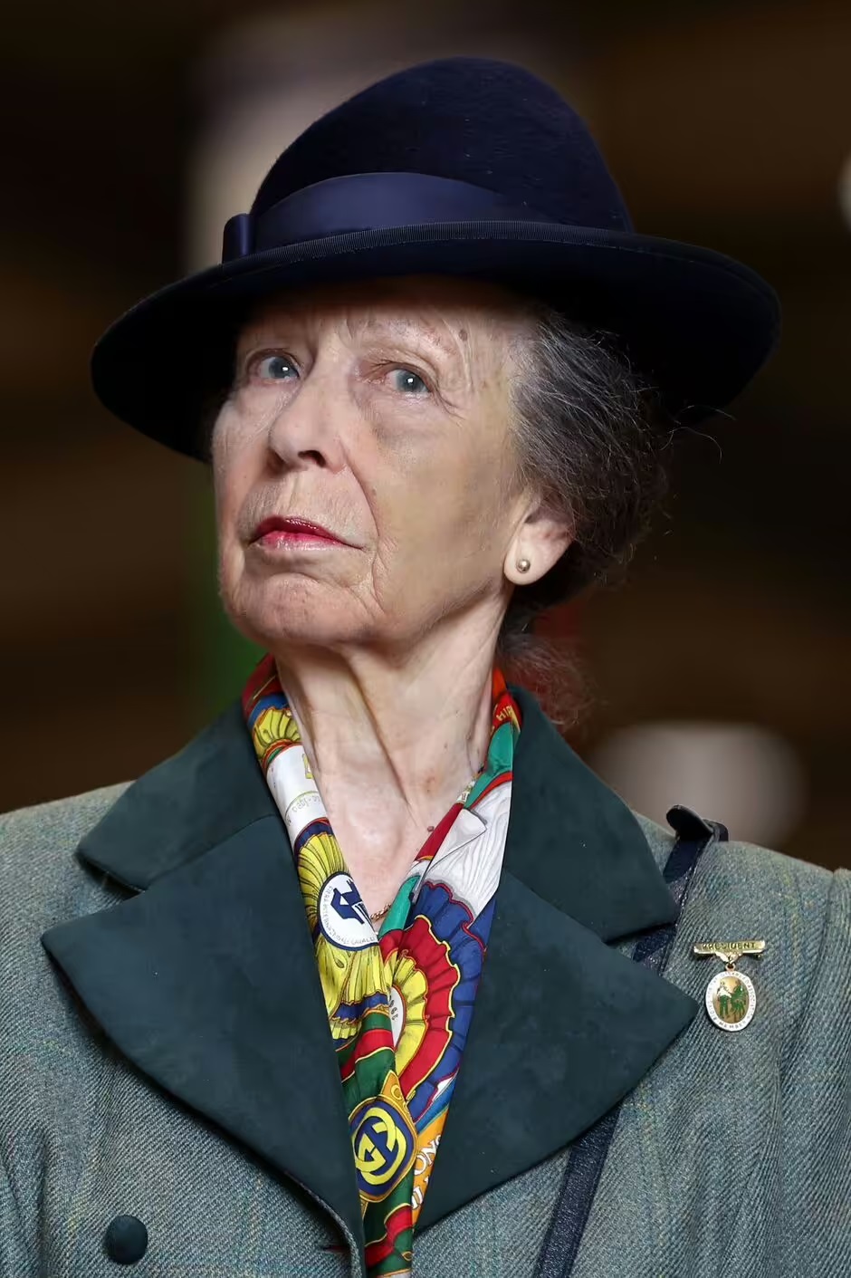 Reasons Why Princess Anne 'can't remember a single thing' about horse injury that put her in hospital