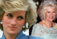 Princess Diana made heartbreaking Sure prophecy about Queen Camilla – and it came true