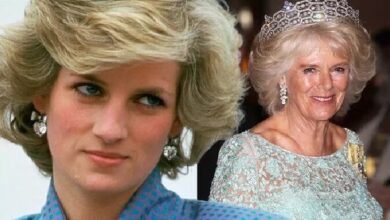 Princess Diana made heartbreaking Sure prophecy about Queen Camilla – and it came true