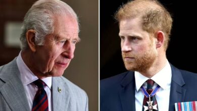 Prince Harry reveals heartbreak over King Charles' decisions amid Royal family tensions