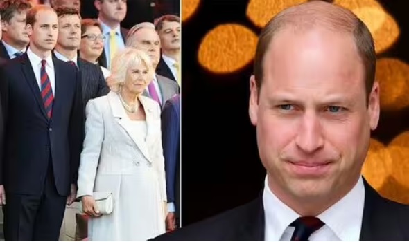 Reason Why Queen Camilla "Is a Little Afraid" of Prince William