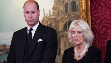 Reason Why Queen Camilla "Is a Little Afraid" of Prince William