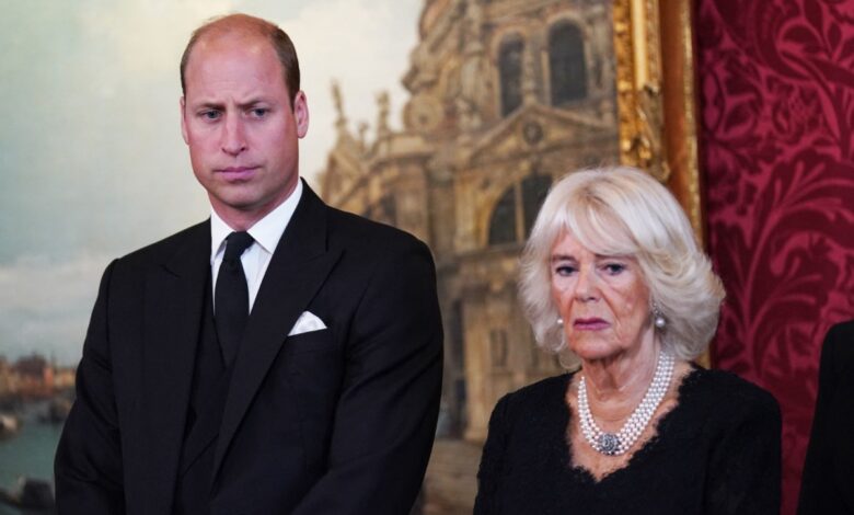 Reason Why Queen Camilla "Is a Little Afraid" of Prince William