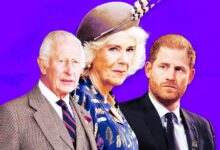 Queen Camilla does not want King Charles to meet Prince Harry Because....