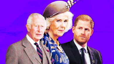 Queen Camilla does not want King Charles to meet Prince Harry Because....