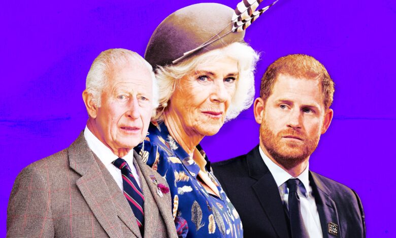 Queen Camilla does not want King Charles to meet Prince Harry Because....